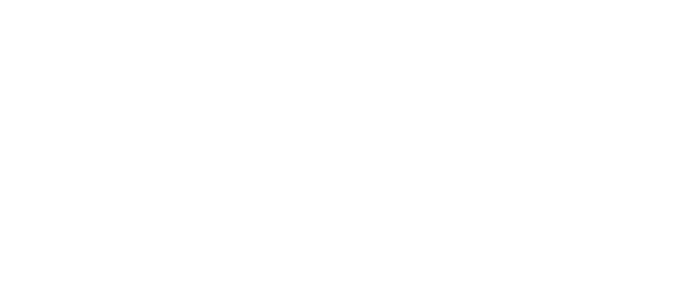 1StepTrip AI